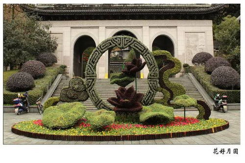 四川大型雕塑廠 大型鳳凰五色草造型廠家專業定制保質保量