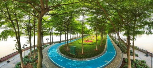 院士領(lǐng)銜,廣州以 繡花功夫 打造城市精品工程